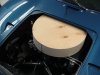 Trunk2.JPG