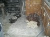 DSCN0224.jpg