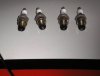 Plugs-ns bank.jpg