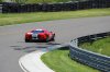 DSC_4417lr.jpg