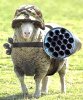 Peacekeeper.jpg
