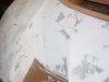 DSC03313.JPG