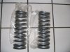 54813-springs10-350.JPG