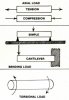 55908-CHART1.jpg