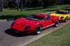 56023-Steve.jpg