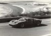 57929-amaroo1small.jpg