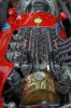 Immagine 433.JPG