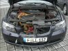 Bmw-an-Deer-3.jpg