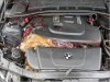 Bmw-an-Deer-4.jpg