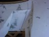 DSC03325.JPG