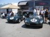 IMG_1448small.JPG