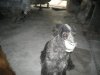 DSCN0302.jpg