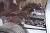 000_0109.jpg