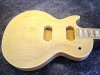 LES PAUL 01.jpg