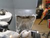 DSC00269.JPG