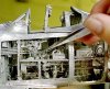 Art 7 Tweezers George - credit F. Lee, Honolulu Star-Bulletin.jpg