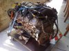 LS2 a.jpg
