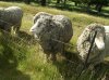 New Zealand 2010011-1.jpg