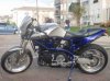 Buell2.jpg