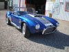 cobra 010.jpg