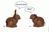 image001.gif