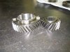 albins dog-change gears.jpg