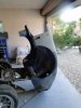 DSC01380.jpg