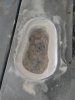 DSC01390.jpg