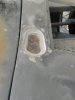 DSC01391.jpg