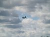 Wings & Wheels 2010 (95).JPG