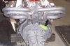 TSC GT40 191.jpg
