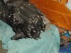 DSC00339.JPG