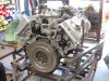 DSC04742.jpg