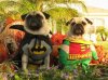 bat.jpg