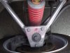 coque GT40 017.jpg