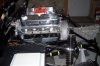 TSC GT40 215.jpg