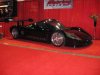 IMG_2894.jpg