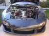 DSCN3610.jpg