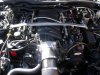 DSCN3612.jpg