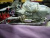 DSCN0523.jpg