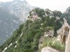 IMG_1825.jpg