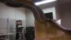 100_3244.jpg