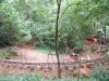 62639-DSCF0061.JPG