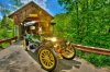 12 steamer shine.jpg