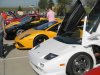 lambos.JPG