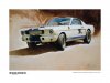 ShelbyHeritageCanvas(24X18)2.jpg