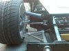 Spring 2011 241.jpg