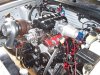 20bmustang1.jpg