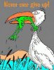 never-give-up-frog.jpg