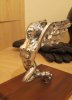 winged lady 1 .jpg
